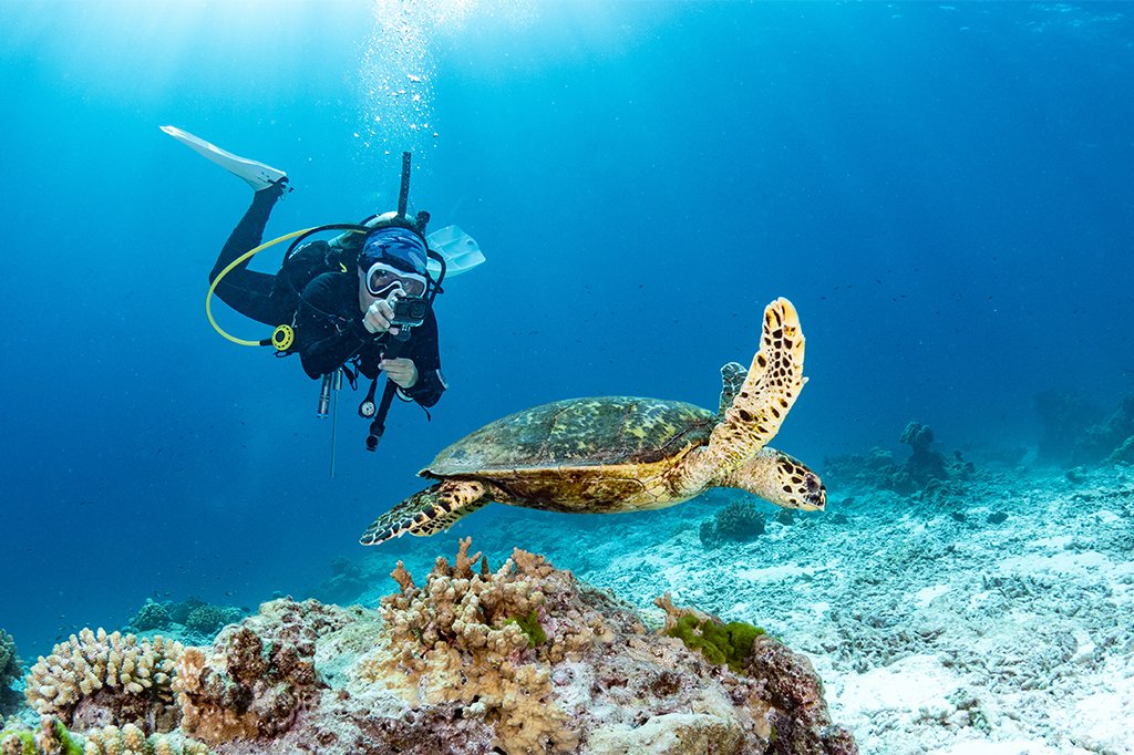 Diver exploring a coral reef in Tanzania